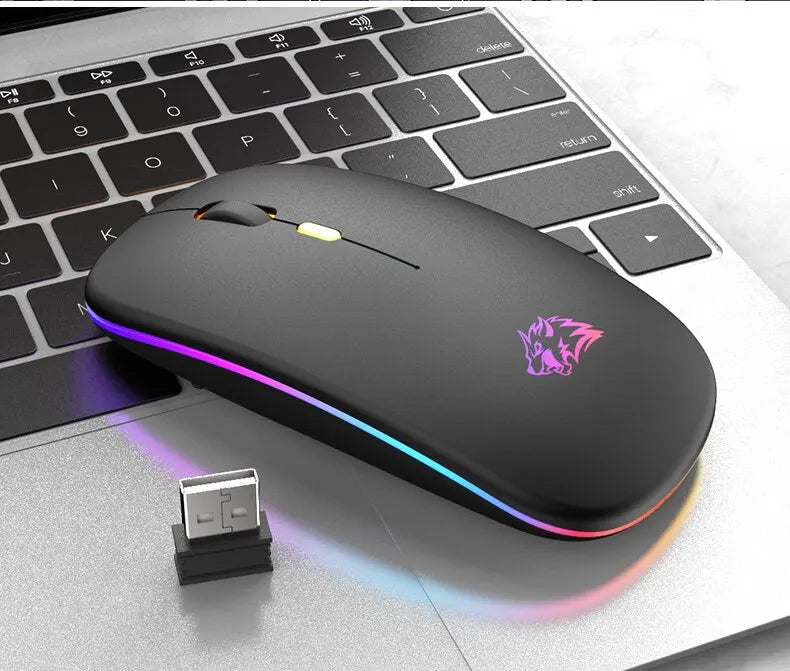 Wireless Mouse Bluetooth and 2.4GHz Dual Modes Rechargeable RGB Ergonomic Silent Click for PC iPad Laptop Cell Phone TV